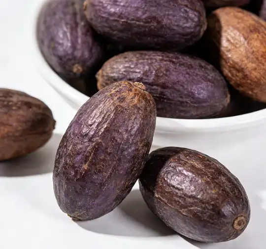 Why Choose Saw Palmetto Extract Powder for Daily Wellness?